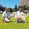 Mon Moriani Quilin - immagine 2